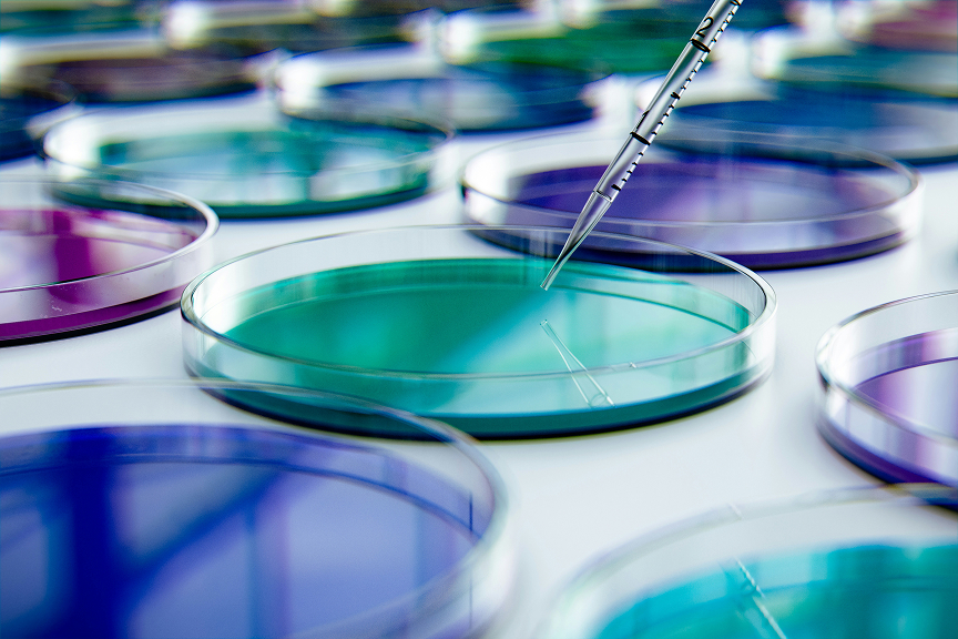 Pipetta da laboratorio per il trasferimento di liquidi in piastre di Petri durante una ricerca clinica