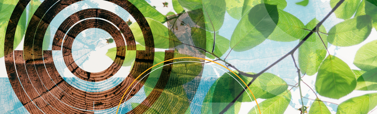 A Structured Approach to Managing Environmental Impact